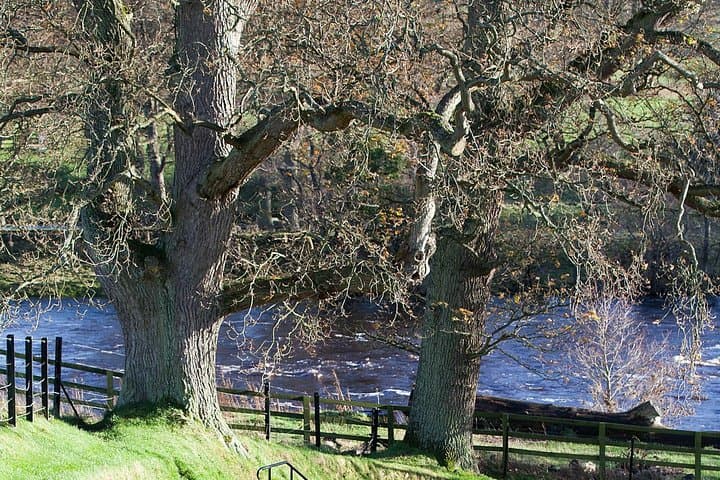 Chesters Roman Fort & Museum - Hadrian's Wall Admission Ticket