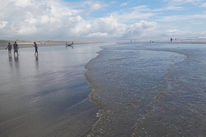 Private Round Trip Or One Way Transfer: Heathrow Airport to Brighton