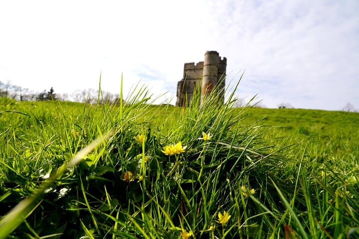 Ancient Britain tour : Sacred forests, Burials and UFO Mysteries