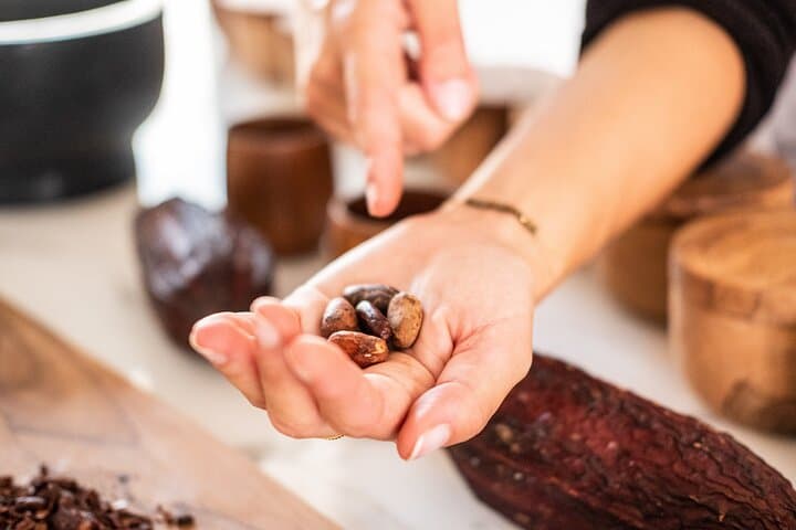 Learn about chocolate