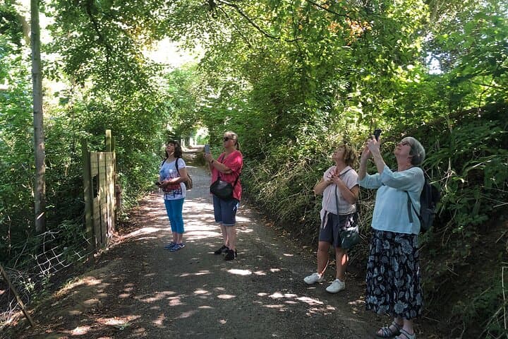 Private group tree walks for small groups - A gentle walk around the lanes to meet the trees, listen to some poetry and songs from Matt.