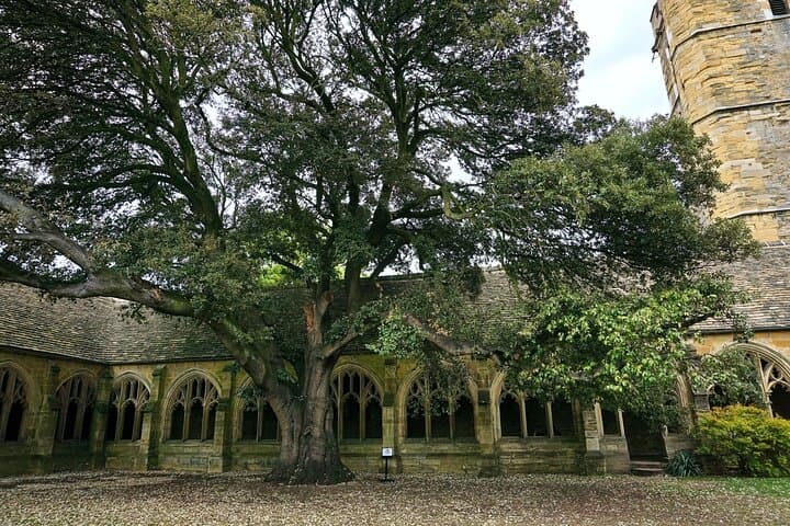 Private | Oxford Harry Potter Locations Walking Tour by Alumni™