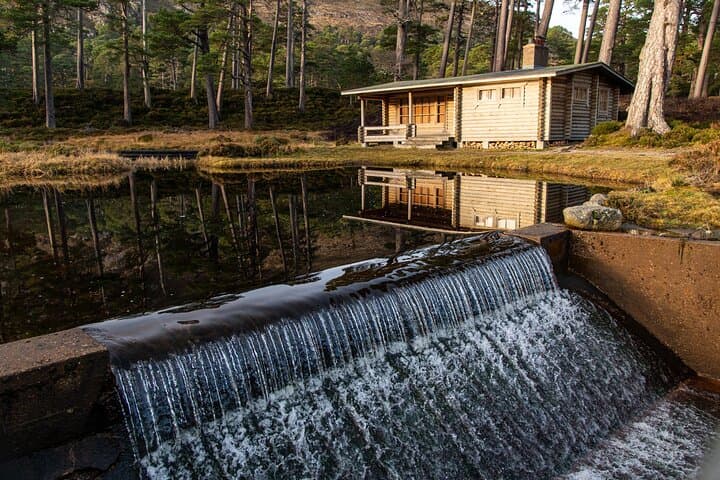 Honka House