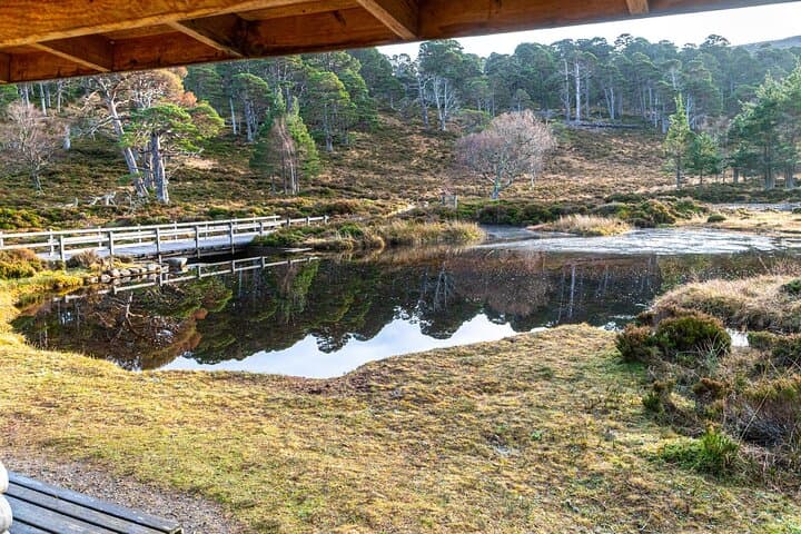 View from Honka House