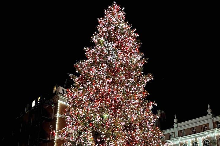 London: Christmas Lights Guided Walk Tour