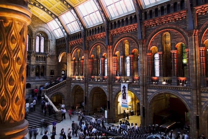 The Natural History Museum of London: Private Half-Day Tour