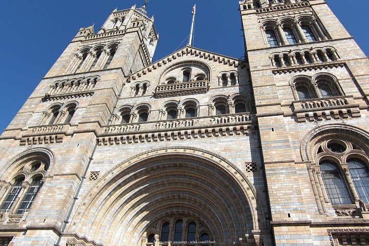 The Natural History Museum of London: Private Half-Day Tour