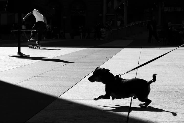 Photographer’s London: A Private Street Photography Experience