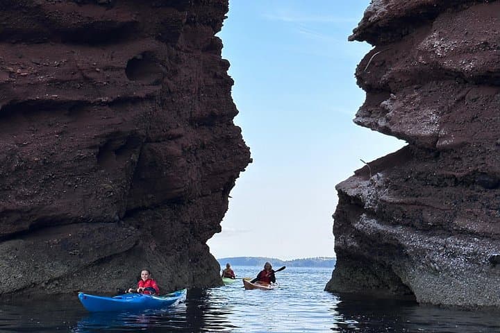 Half Day Sea kayak Guided Tour