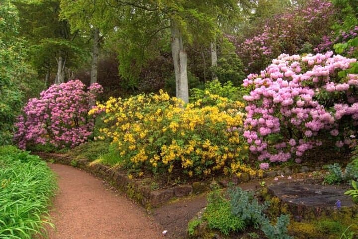 Inverewe Garden