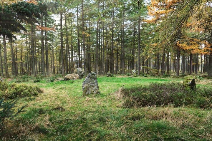 Ancient Scotland & Nature: Full Day Private Tour from Aberdeen