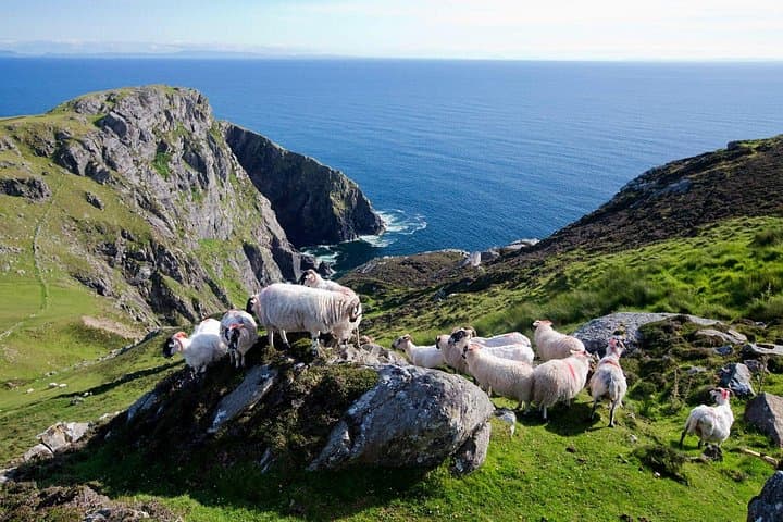 Sliabh Liag Cliffs and Glencolmcille Tour