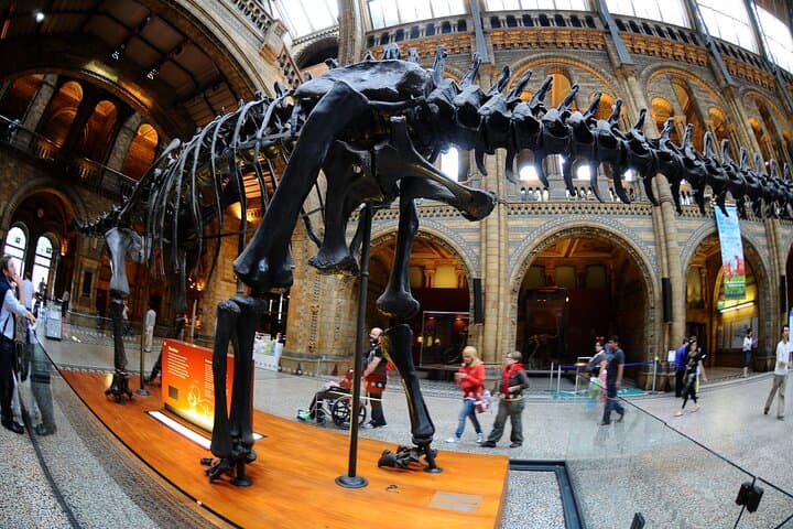 Natural History Museum Walking Guided Tour of London