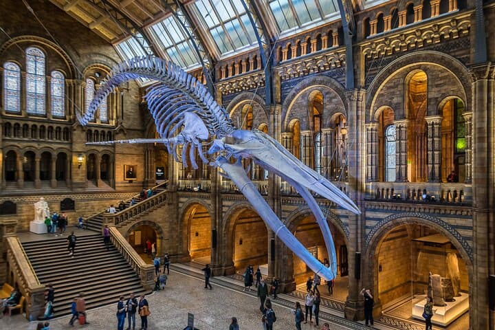 Natural History Museum Walking Guided Tour of London