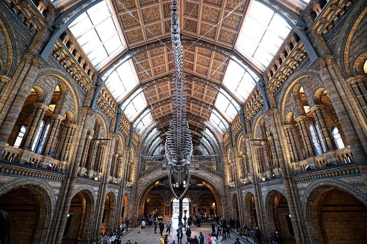Natural History Museum Walking Guided Tour of London