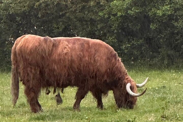 Glencoe and Highland Private DayTour from Edinburgh