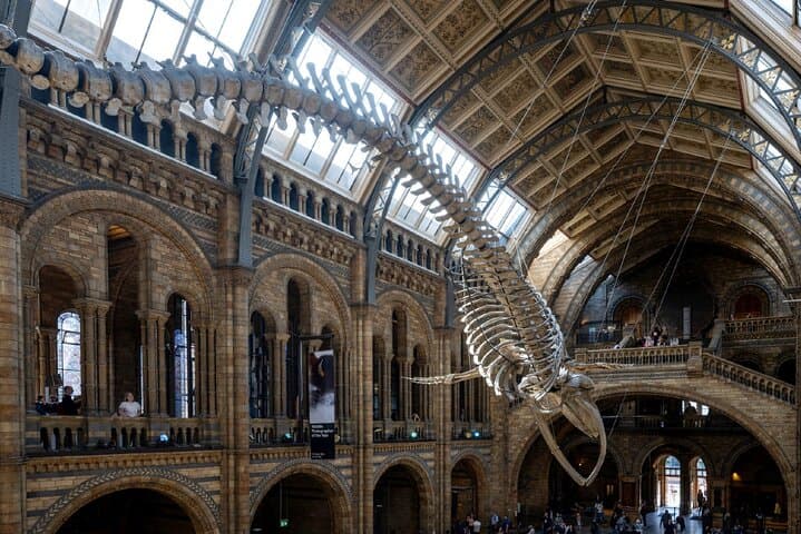 Natural History Museum Walking Guided Tour of London