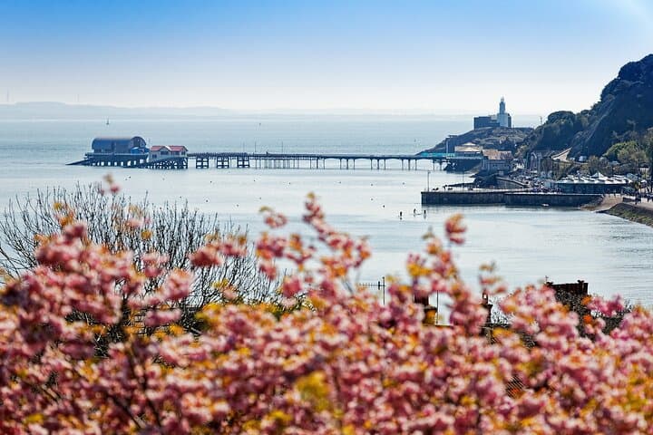 Cardiff: Golden Gower Coast, Maritime & Mumbles Day Tour