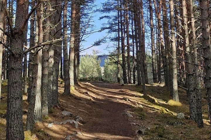 The walk to Prince Alberts Pyramid