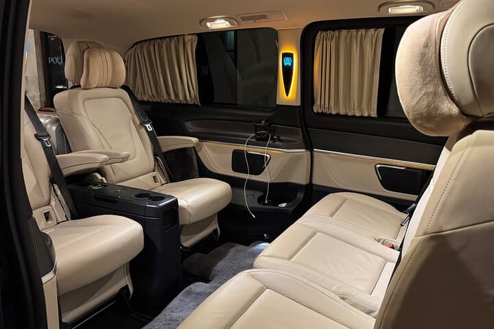London Private Tour with Exclusive Car and Options