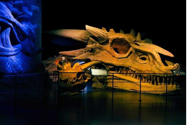 Game of Thrones Studio Tour with Coach Transfer from Dublin