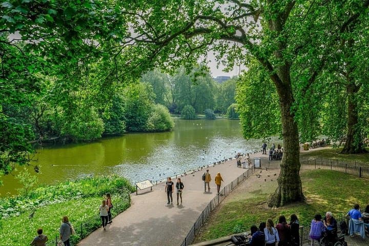 Walk London: Big Ben to Tower Bridge (Private or Group City Hike)
