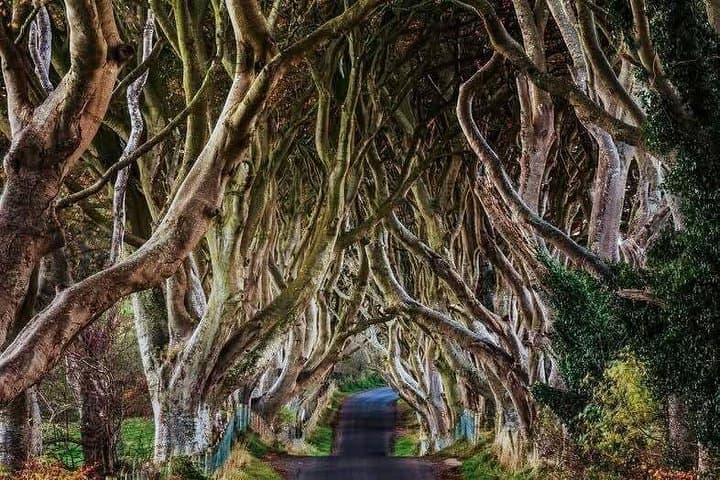 Giant’s Causeway & Antrim Coast Private Tour from Belfast