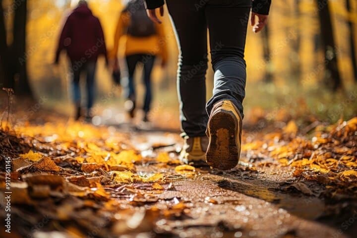 Explore Crystal Streams and Secret Valleys in Chiltern Hills