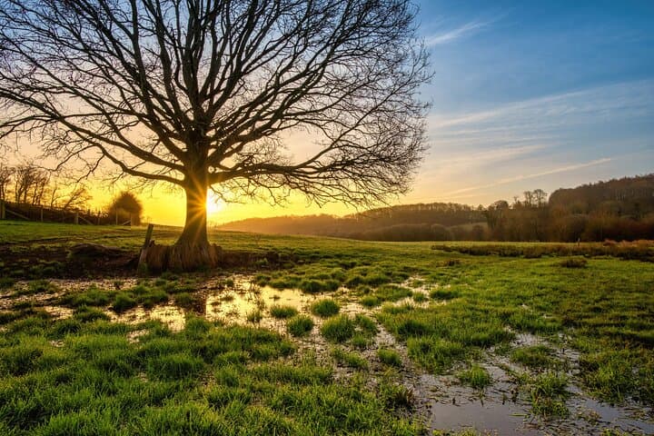 Explore Crystal Streams and Secret Valleys in Chiltern Hills