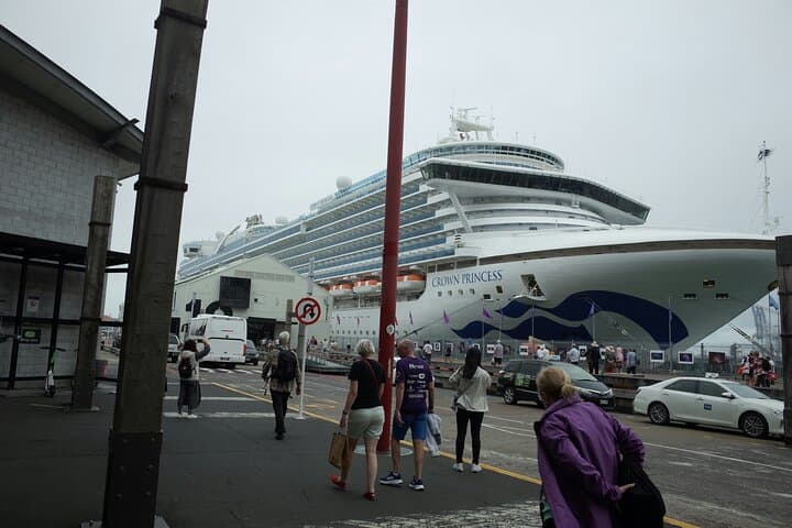 Private Seaport Transfer: London to/from Dover Cruise Terminal