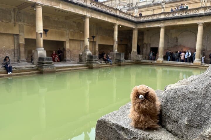 Private Tour Stonehenge Windsor Castle Bath