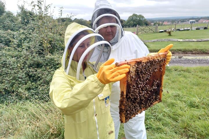 Bee a Beekeeper - Experience the Buzz
