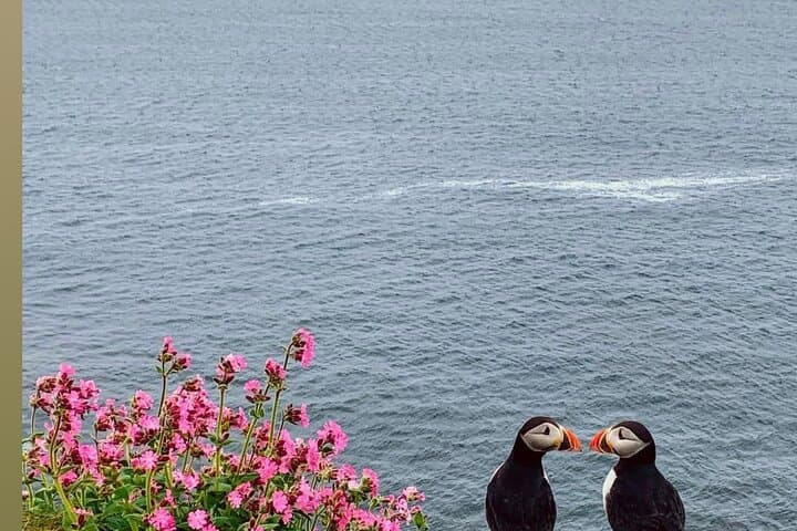Orkney Island Discovery Tour with Experienced Local Guide