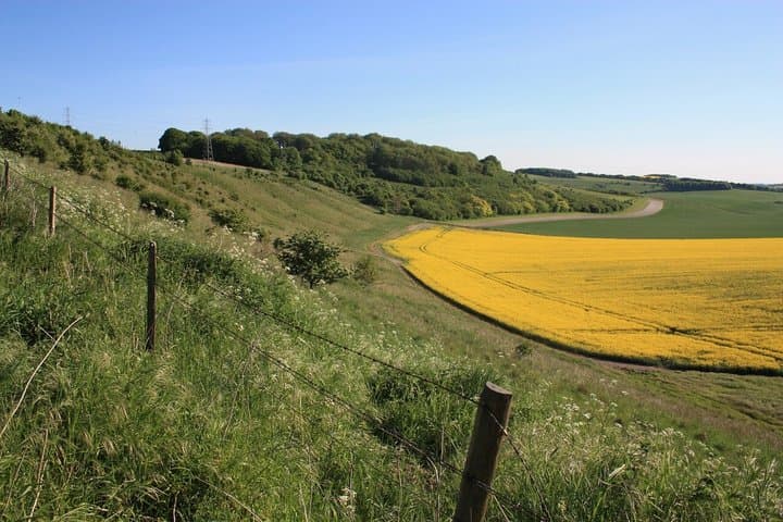 Stonehenge Salisbury and Avebury, Wiltshire Road Trip Guidebook