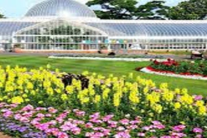 Glasgow Botanic Gardens Scavenger Hunt Adventure