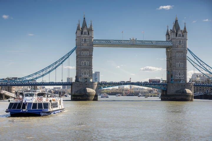 One-Day Unlimited City Cruises River Pass