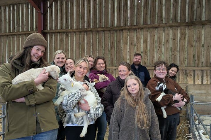 Working Farm Tour at Errington Cheese
