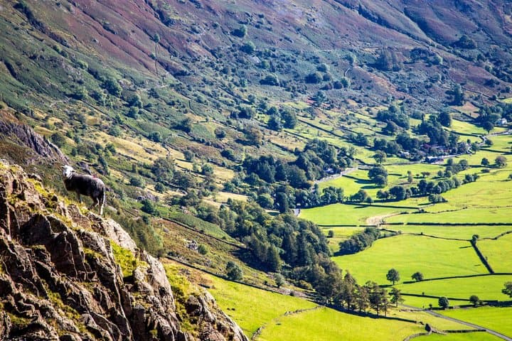 Private Lake District Highlights Tour by Executive Mercedes