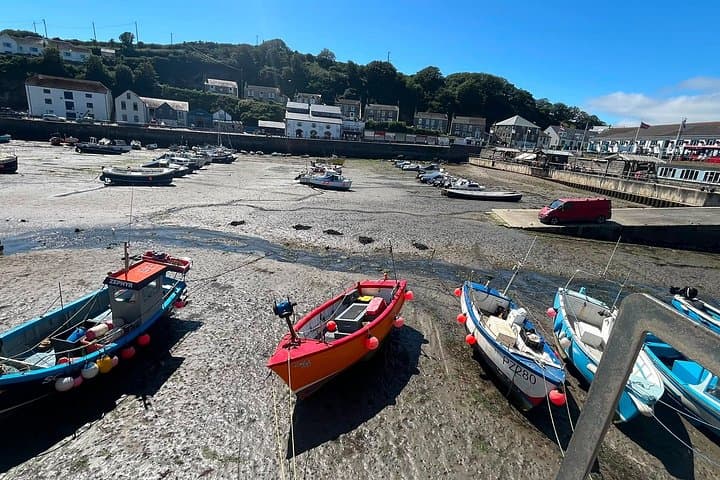 Falmouth, Lizard and West of Cornwall private scenic tour
