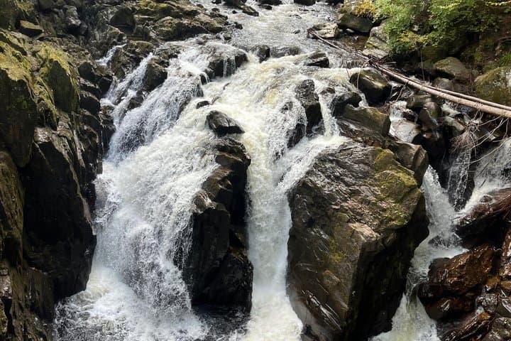 Full Day Private Scotland Tour