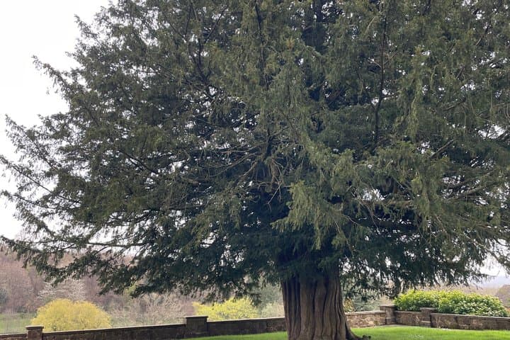 Private Guided Tour of Winston Churchill's Country Home Chartwell
