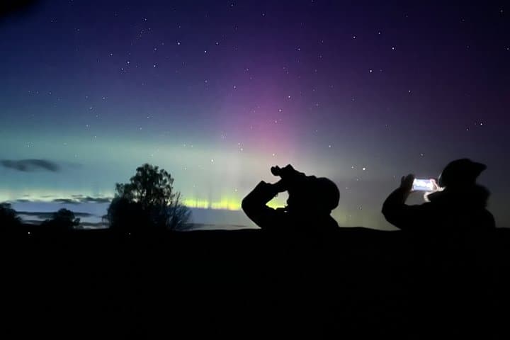 Guided Night Walk in Cairngorms National Park with Stargazing