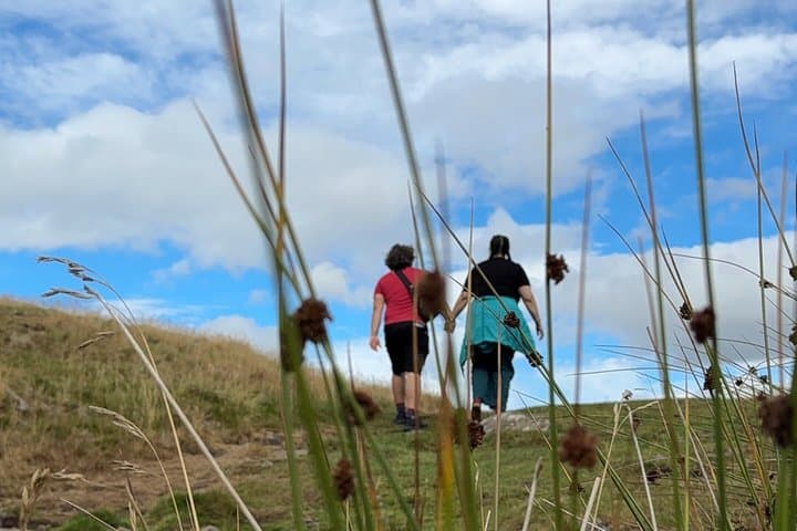 Roman Fort and Short Guided Walk along Hadrian's Wall